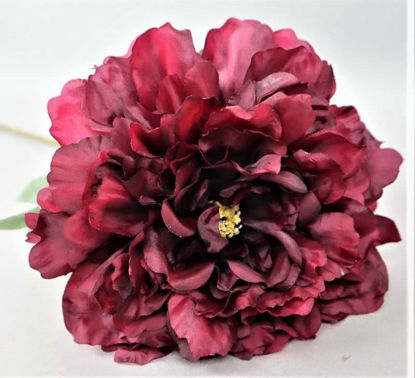 Picture of BLOOMING PEONY 18CM BURGUNDY