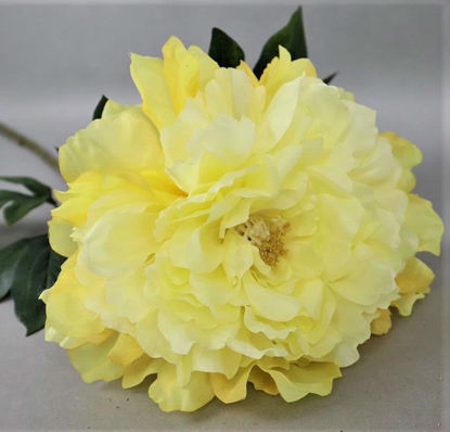 Picture of BLOOMING PEONY 18CM YELLOW