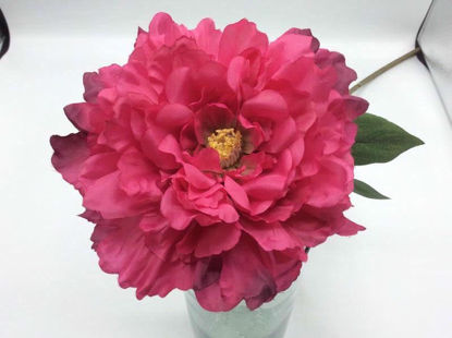 Picture of BLOOMING PEONY 18CM FUCHSIA