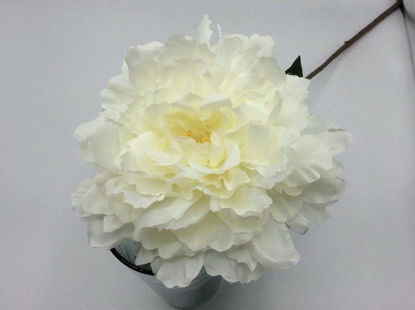 Picture of BLOOMING PEONY 18CM WHITE