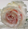 Picture of BLOOMING ROSE STEM 10CM PEACH WHITE