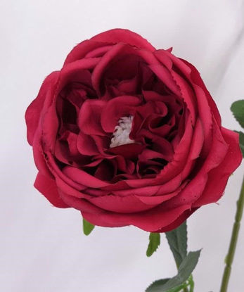 Picture of ENGLISH ROSE SPRAY 63CM RED