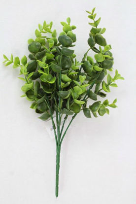 Picture of EUCALYPYUS BUNCH GREY/GREEN