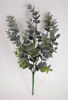 Picture of EUCALYPYUS BUNCH GREY/GREEN