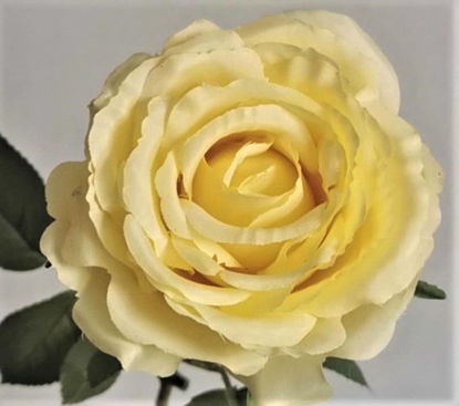 Picture of BLOOMING ROSE STEM 10CM YELLOW