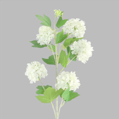 Picture of SNOWBALL STEM IVORY 80CM