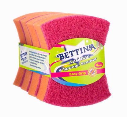 Picture of BETTINA SPONGE BUTTERFLY 4 SCOURER ANTI BAC