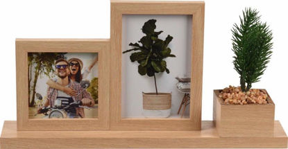 Picture of PHOTO FRAMES WITH PLANT