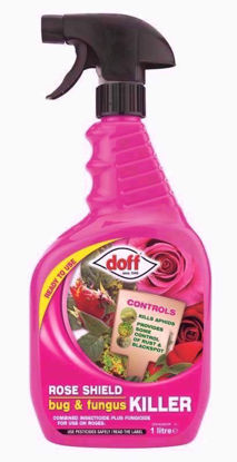 Picture of DOFF ROSE SHIELD BUG & FUNGUS CONTROL 1LTR