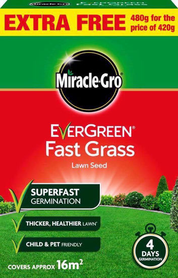 Picture of MIRACLE GRO EVERGREEN FAST GRASS SEED 480G