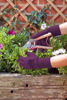 Picture of GARDEN GLOVES BERRY SMALL