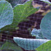 Picture of KINGFISHER GARDEN & POND NETTING