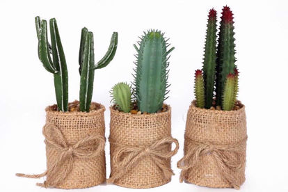 Picture of ARTIFICIAL PLANTS CACTUS IN HESSIAN POT