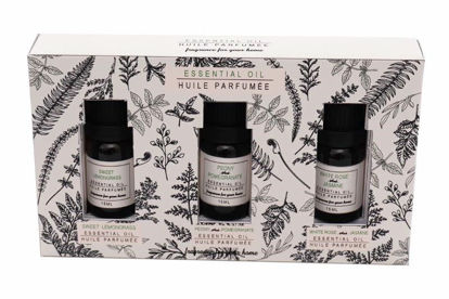 Picture of ESSENTIAL OILS 15ML SET3 D000