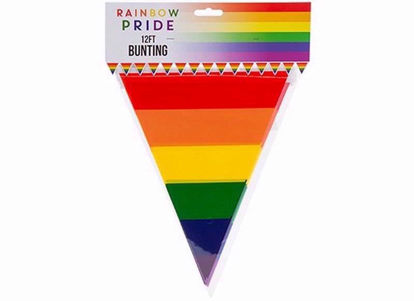 Picture of RAINBOW PRIDE BUNTING 12FT