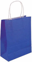 Royal Blue Bag with Handle