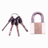 Picture of AMTECH PADLOCK SECURITY 50MM