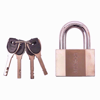 Picture of AMTECH PADLOCK SECURITY 60MM