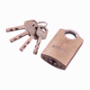 Picture of AMTECH PADLOCK TOP SECURITY 40MM