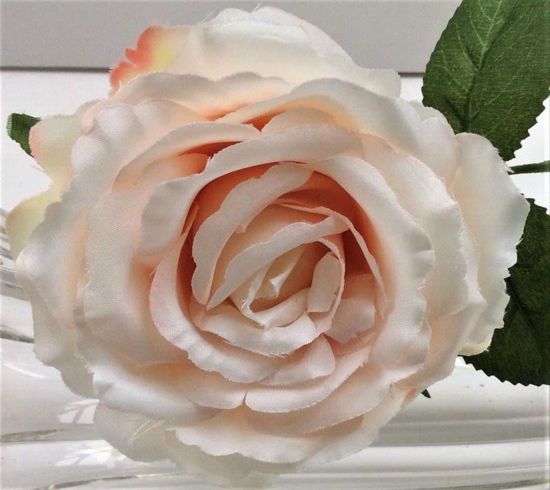 Picture of BLOOMING ROSE STEM 10CM PEACH WHITE