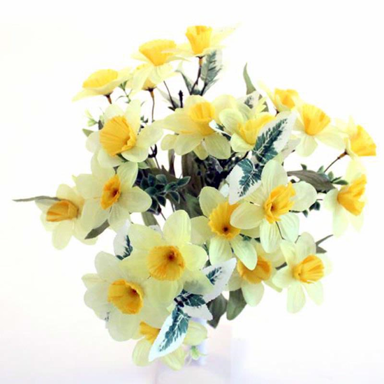 Picture of DAFFODIL BUSH MINI