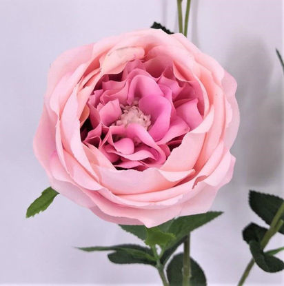 Picture of ENGLISH ROSE SPRAY 63CM LIGHT PINK