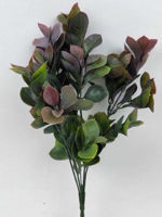 Picture of EUNOYMUS BUSH 34CM BURGANDY/GREEN