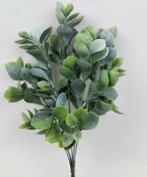 Picture of EUNOYMUS BUSH 34CM GREY/GREEN