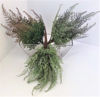 Picture of FOREST FERN 46CM GREEN/BROWN