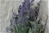 Picture of FOREST FERN 46CM GREEN/LAVENDER