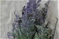 Picture of FOREST FERN 46CM GREEN/LAVENDER