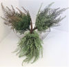 Picture of FOREST FERN 46CM GREEN/LAVENDER