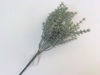 Picture of FROSTED THYME BUSH 30CM