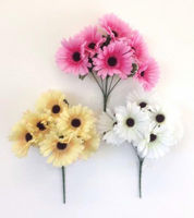 Picture of GERBERA CARNATION BUSH MIX COLOURS