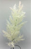 Picture of PAMPUS GRASS 70CM WHITE