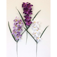 Picture of PURPLE ORCHID STEM 3 COLOURS