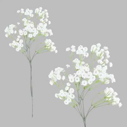 Picture of BABY BREATH 70CM WHITE