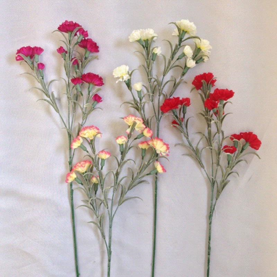 Picture of CARNATION MINI SINGLE STEM 4 COLOURS