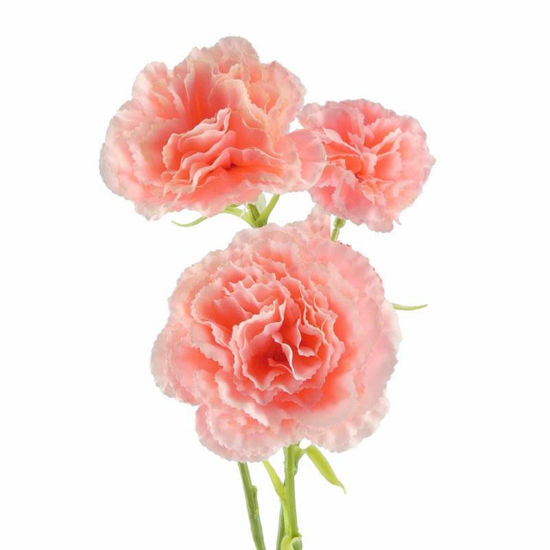 Picture of CARNATION SINGLE STEM 58CM PEACH