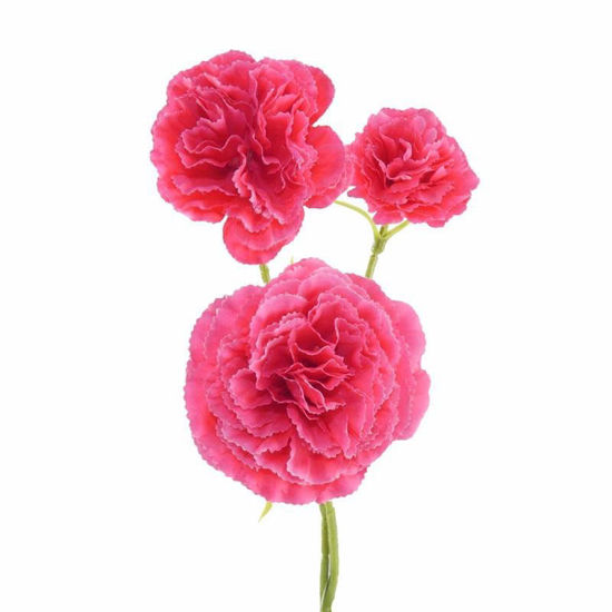 Picture of CARNATION SINGLE STEM 58CM PINK