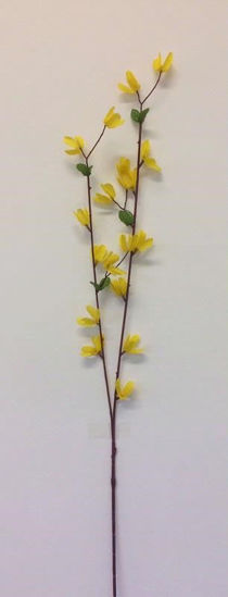 Picture of FORSYTHIA SPRAY