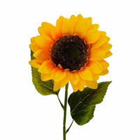 Picture of SUNFLOWER SINGLE STEM 58CM