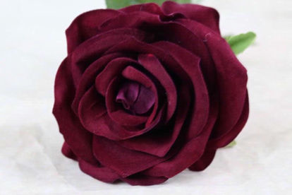 Picture of TEA ROSE SINGLE STEM BURGANDY