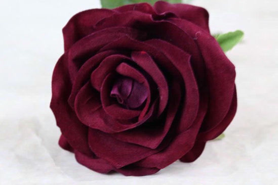 Picture of TEA ROSE SINGLE STEM BURGANDY