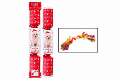 Picture of CHRISTMAS CRACKER PET DOG GOLD