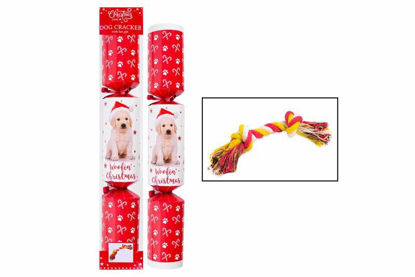 Picture of CHRISTMAS CRACKER PET DOG RED