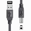 Picture of AVSL USB 2.0 LEAD A-B 1.5M 113004