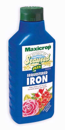 Picture of MAXICROP PLUS SEQUESTED IRON 500ML