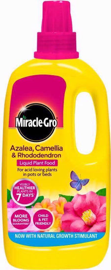 Picture of MIRACLE GRO ERICACEOUS LIQUID 1LTR