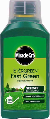 Picture of MIRACLE GRO EVERGREEN FAST GREEN LIQUID 1LTR